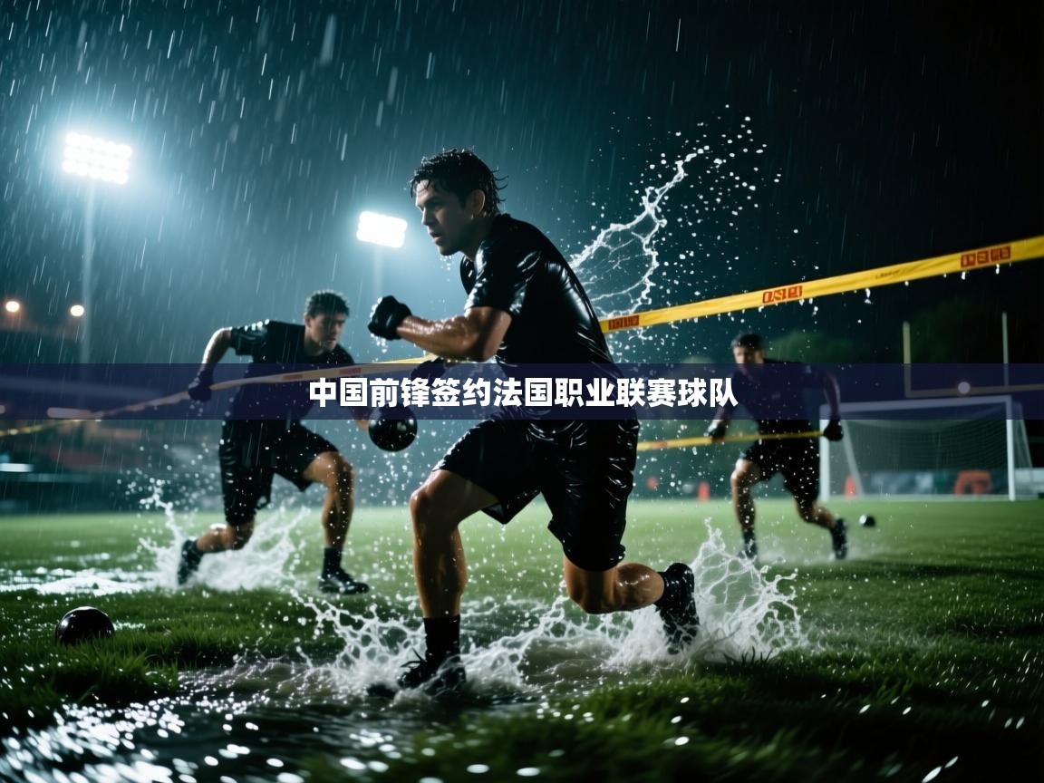 中国前锋签约法国职业联赛球队  第1张