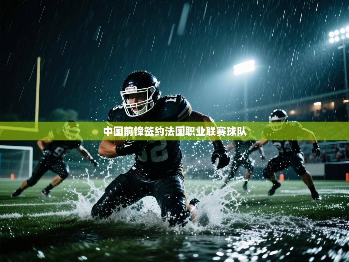 中国前锋签约法国职业联赛球队  第2张