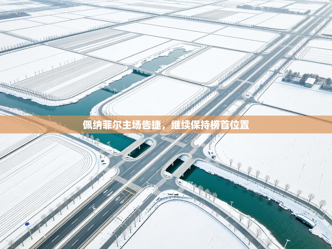 佩纳菲尔主场告捷，继续保持榜首位置  第1张