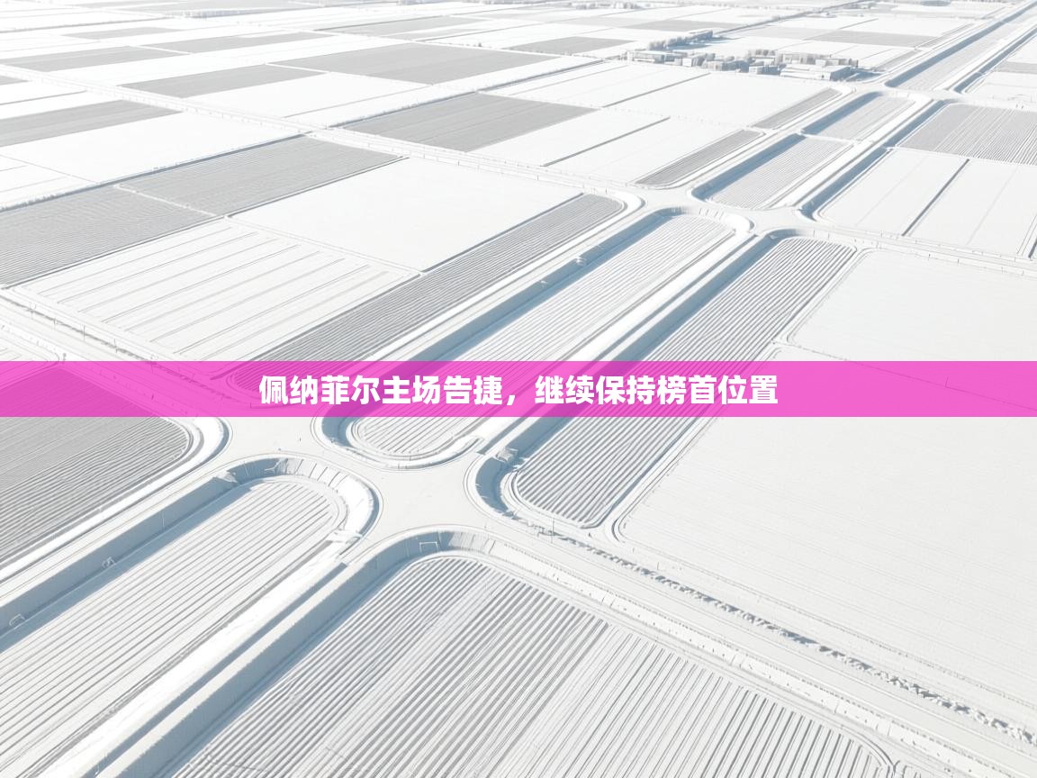 佩纳菲尔主场告捷，继续保持榜首位置  第2张