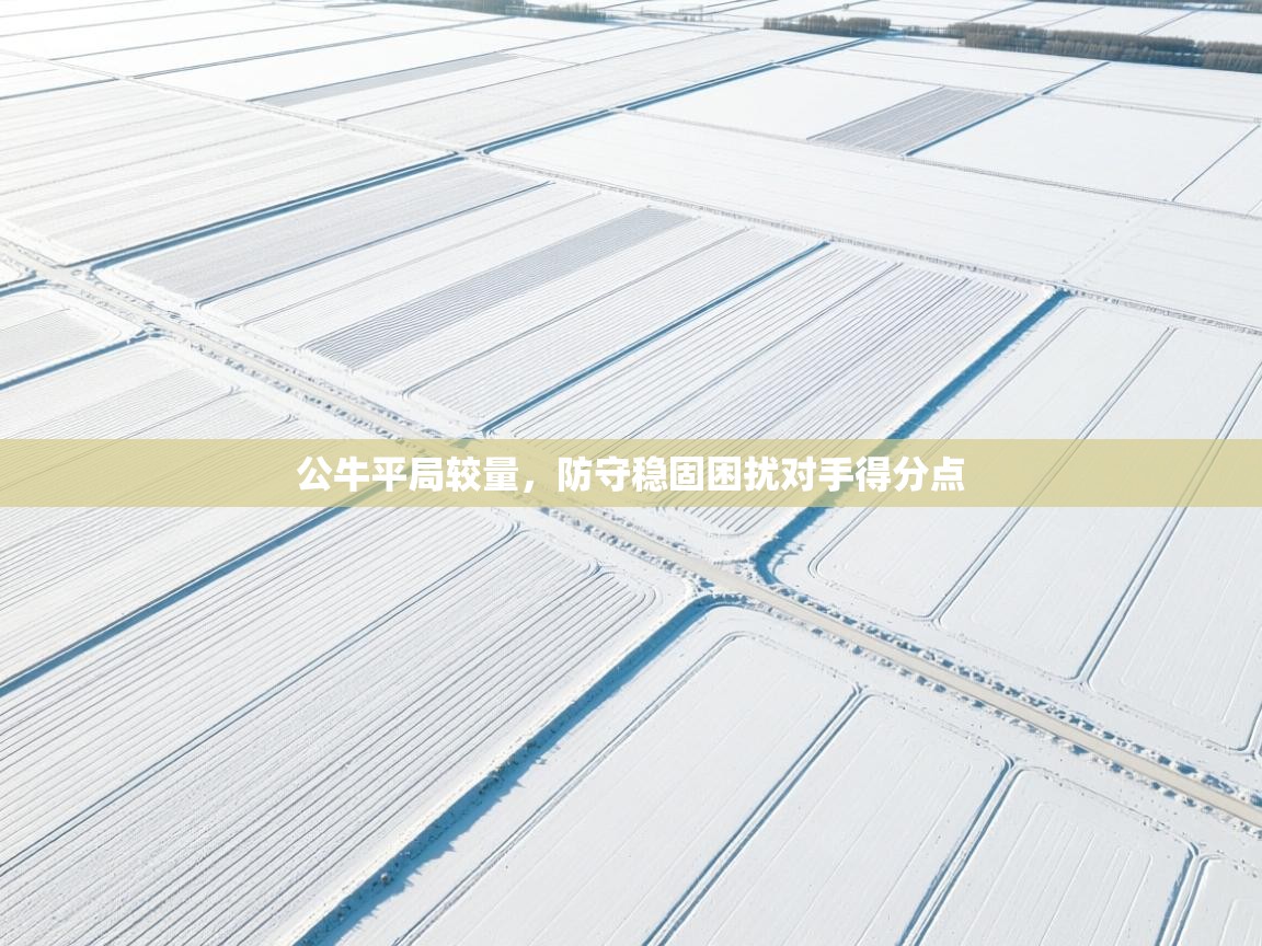 公牛平局较量，防守稳固困扰对手得分点