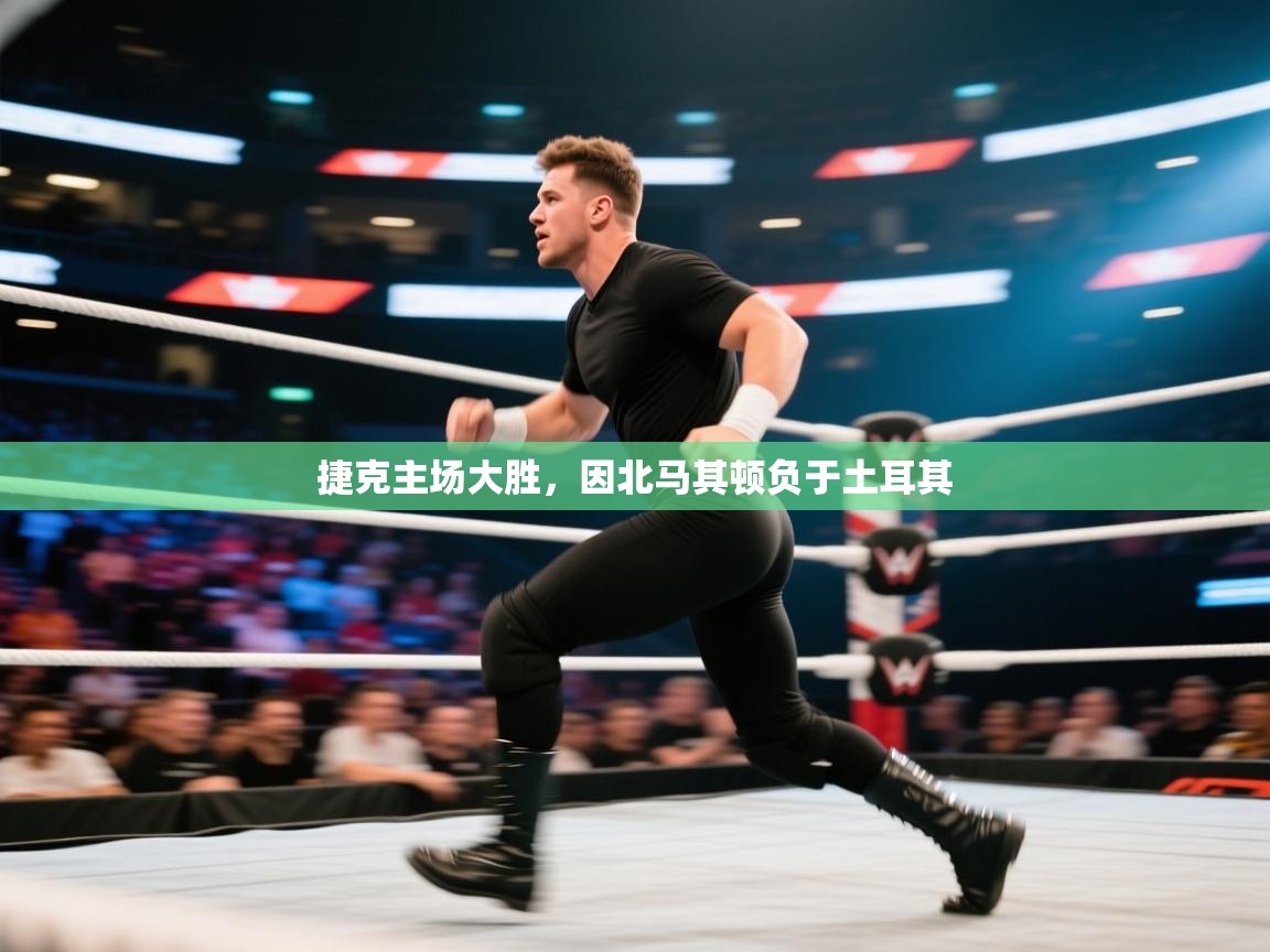 捷克主场大胜,因北马其顿负于土耳其 第2张